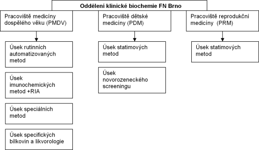 Oddlen klinick biochemie FN Brno